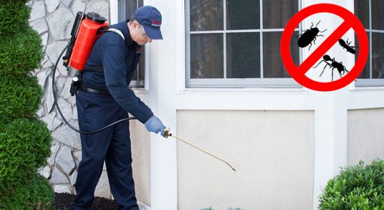 Uludere Akrep İlaçlama böcek ilaçlama ve haşere kontrolü — ilaclama-tr.com